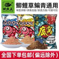草鱼鲤鱼疯狂钓鱼大爆炸配方:探索秘密饵料,鱼获连连!