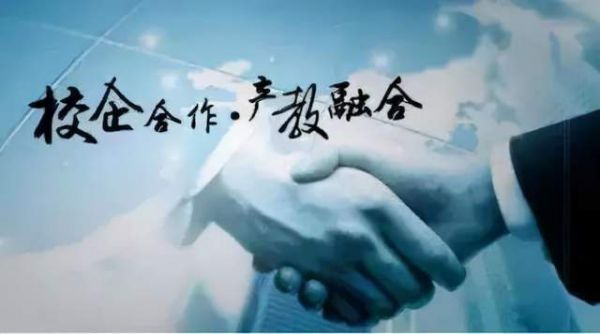 手上有五根主线：如何巧妙运用，实现个人与职业的多维发