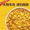 钩草鱼饵料的秘密:玉米粒的制作方法