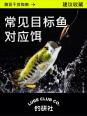 主线影响饵料:探究鱼饵与钓鱼效果的关系