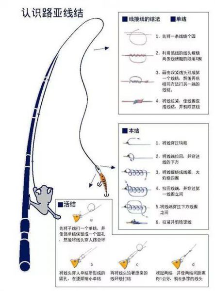 海钓主线与碳线的连接技巧:打造完美组合,提升钓鱼体验