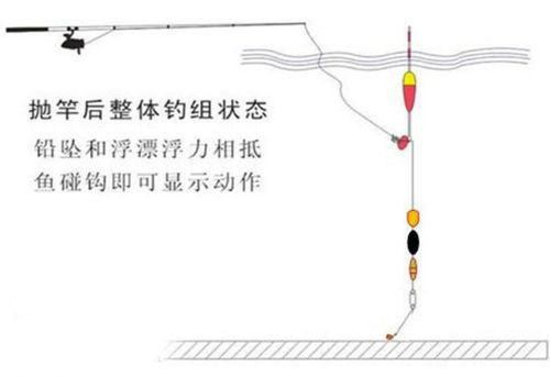 筏钓主线选择指南:了解几号主线最适合你的筏钓之旅