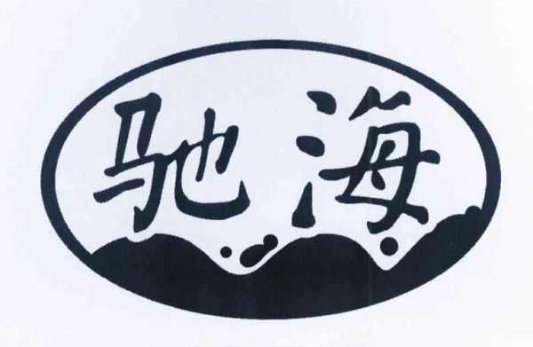 驰海渔具标志：传统与创新的完美结合