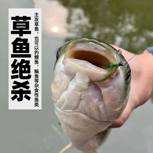 飞蝇钓法钓草鱼效果深度解析:优劣评估与技巧探讨