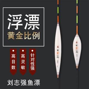 冬钓大棚鲤鱼用什么漂