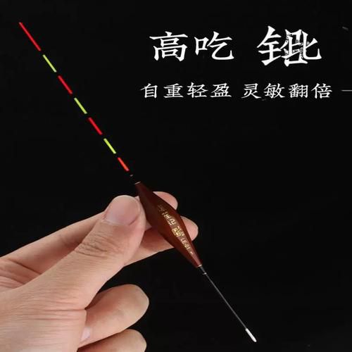冬钓鲤鱼用什么浮漂