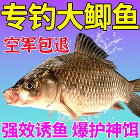 秋天钓鱼塘的鲫鱼饵料