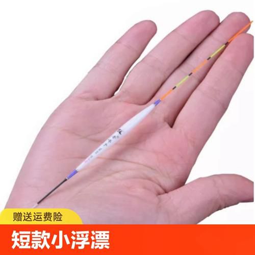 冬钓浮漂长还是短