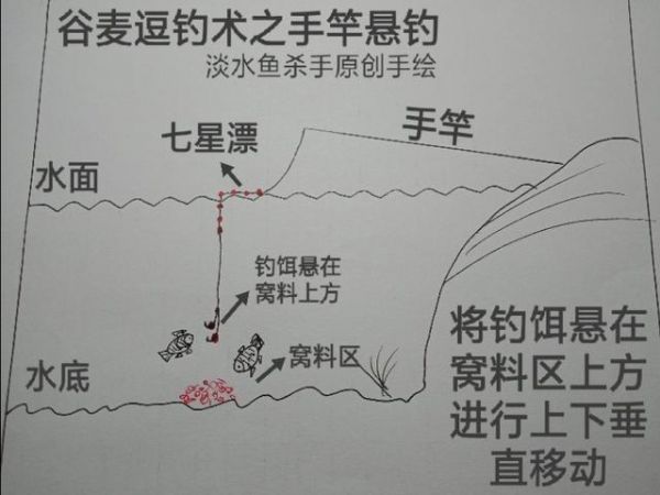 初冬钓大鲤鱼技巧