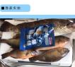 海南垂钓用什么饵料