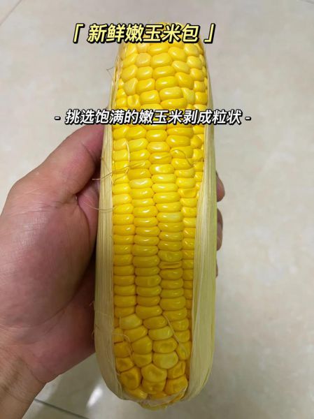 玉米饵料加酒曲怎样发酵