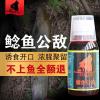 鲶鱼什么家用饵料钓