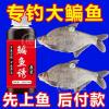 钓鱼没饵料用什么钓
