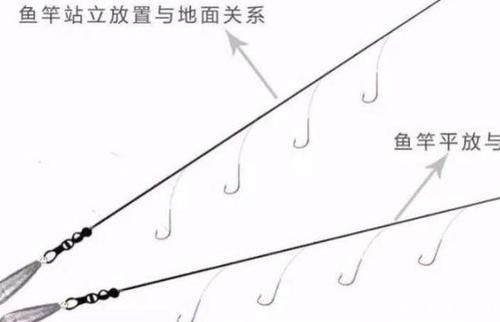 广东深秋初冬钓鱼技巧