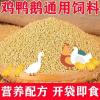 小鸡饲料做饵料配方