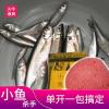 钓小鱼用什么饵料视频