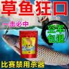 爆炸钩用颗粒饵料好吗