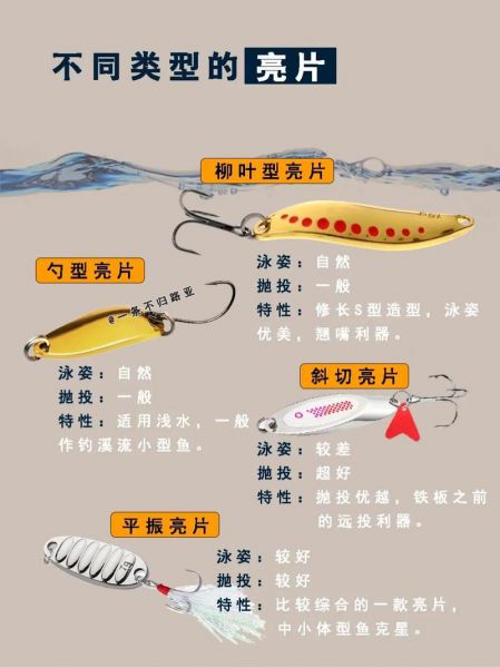 夏天钓鱼 饵料选择