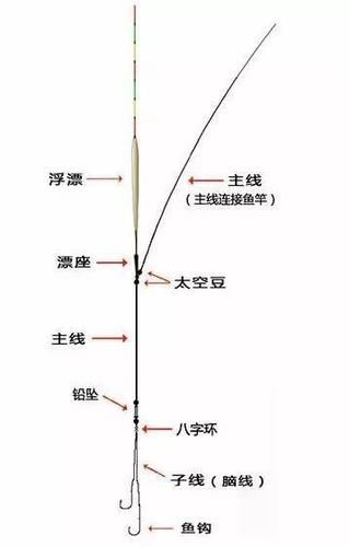 冬钓鲫鱼的线组配合