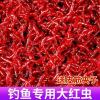 红虫公还是母冬钓