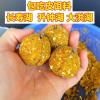 重庆小爆炸饵料好用不