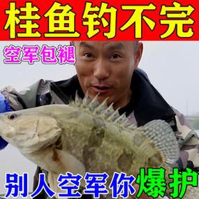 丁桂鱼用什么饵料钓