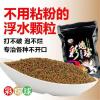 鲤鱼爱吃颗粒的饵料