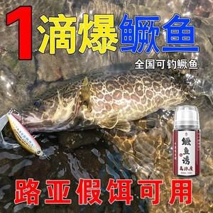 桂鱼手竿用什么饵料