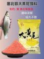 水发黄用什么饵料钓鱼