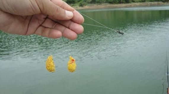 浅水中钓鱼饵料状态