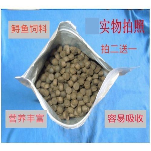 冬钓虹鳟鱼用什么料