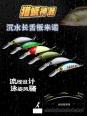 钓鳜鱼 用什么饵料好