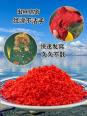 冬季适合用什么饵料