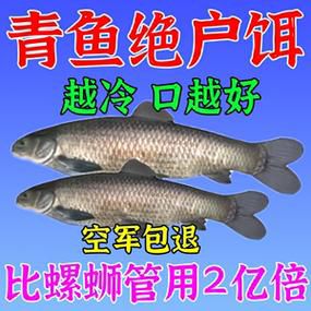 夏季钓青鱼用什么饵料