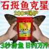 哪种饵料不怎么招小鱼