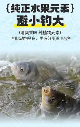 鳊鱼喜欢什么味饵料