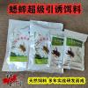 用什么饵料能吸引蟋蟀