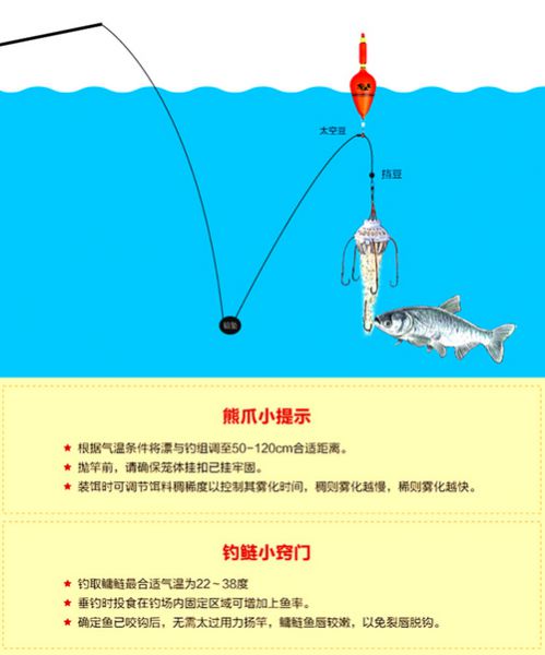 小爆炸钩如何上饵料
