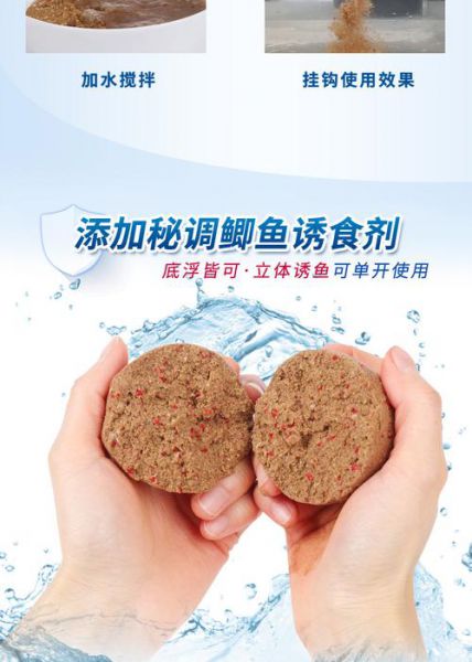 臭水坑里钓鲫鱼的饵料