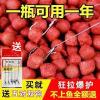 春夏钓鲫鱼用什么饵料