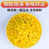 串钩挂饵料鲤鱼不吃怎么