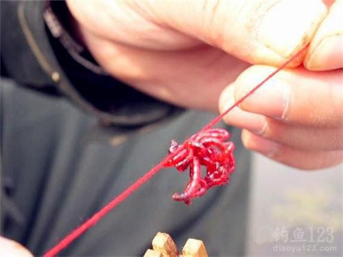 冬钓大棚红虫怎么用