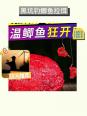 天津养鱼塘用什么饵料