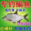 钓武鲳鱼用什么饵料