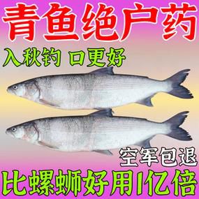 青鱼喜欢不喜欢酒味饵料