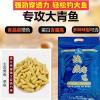 黑坑钓黑鲩用什么饵料
