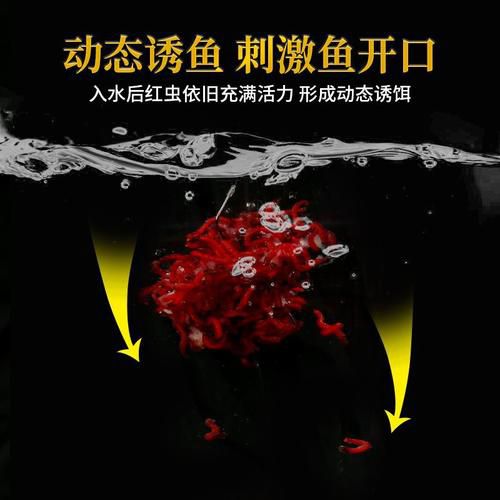 红虫拉饵冬钓鲫用漂