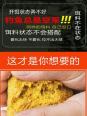 饵料跟拉丝粉比例视频