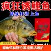 冬钓鲤鱼用几号钓