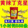野河小鱼多用什么饵料